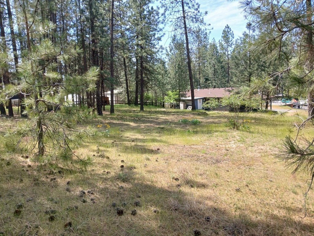 Picture 13