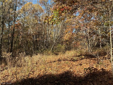 Land, Chandlersville, OH