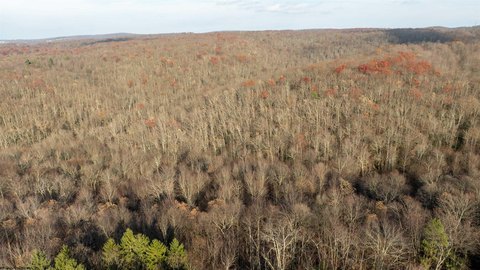 Residential Land in Morgantown, WV