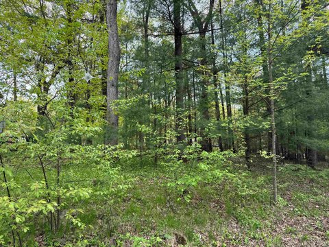 LAND - Lake Delton, WI