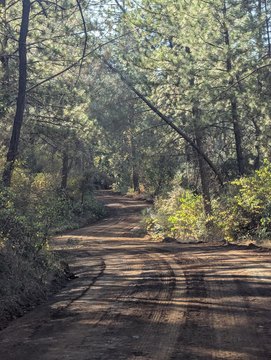 Land in Bella Vista, CA