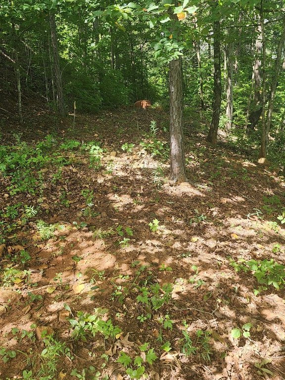 Picture 14