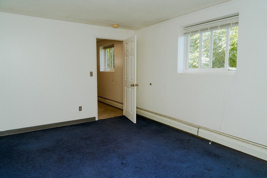 Picture 31