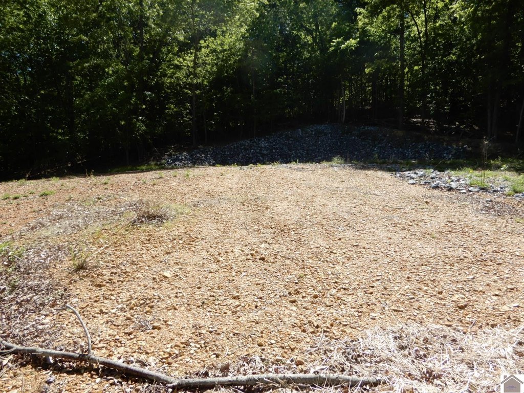 Picture 3