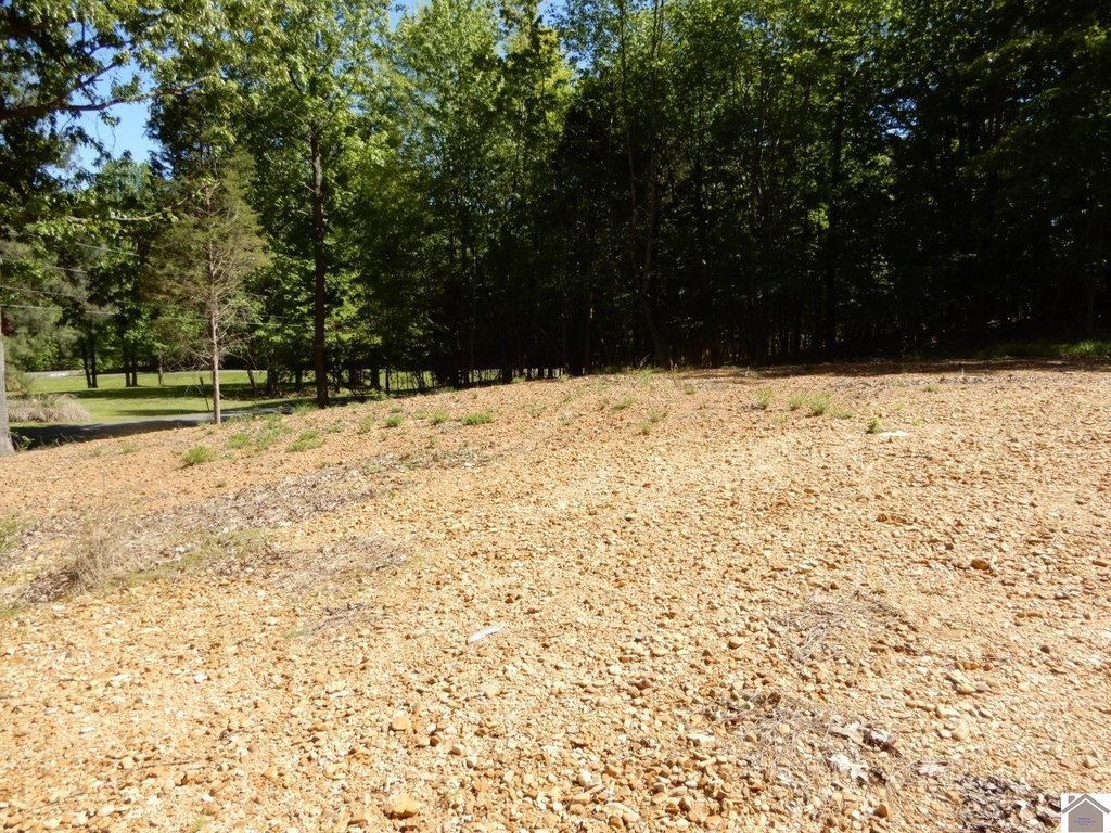 Picture 4