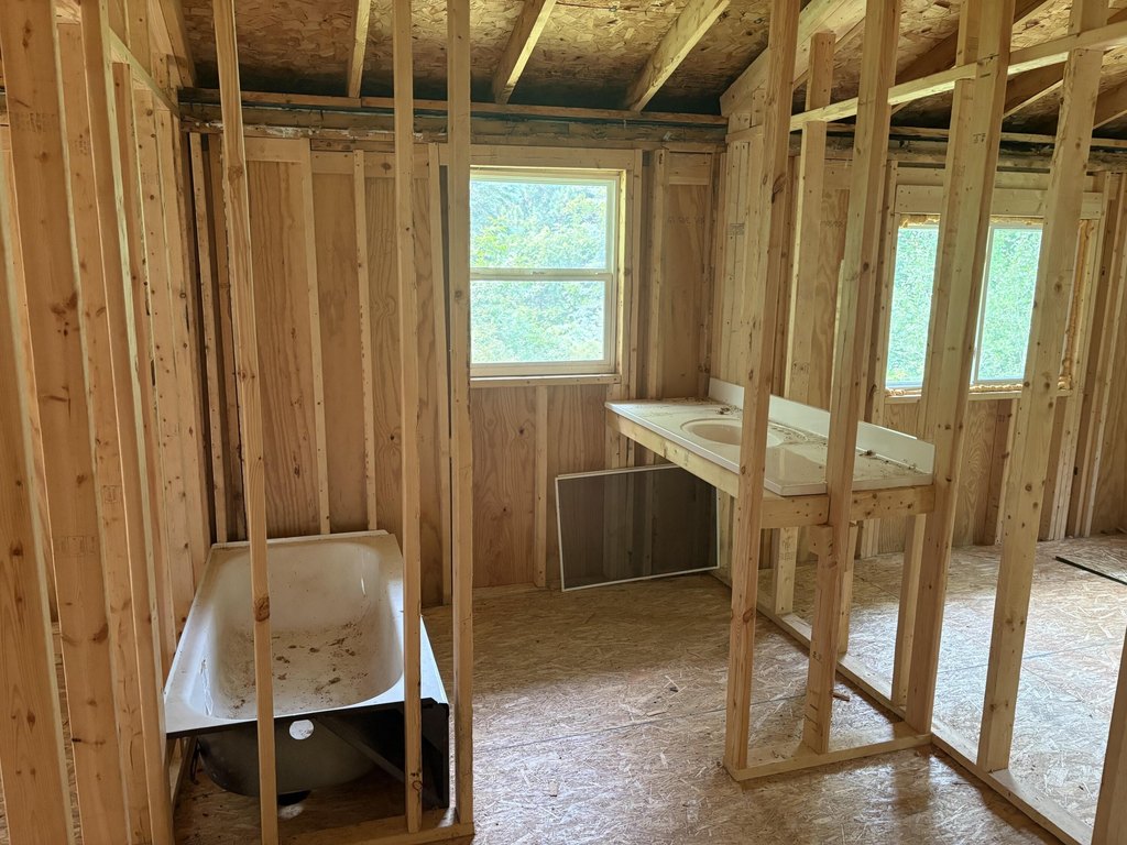 Picture 11