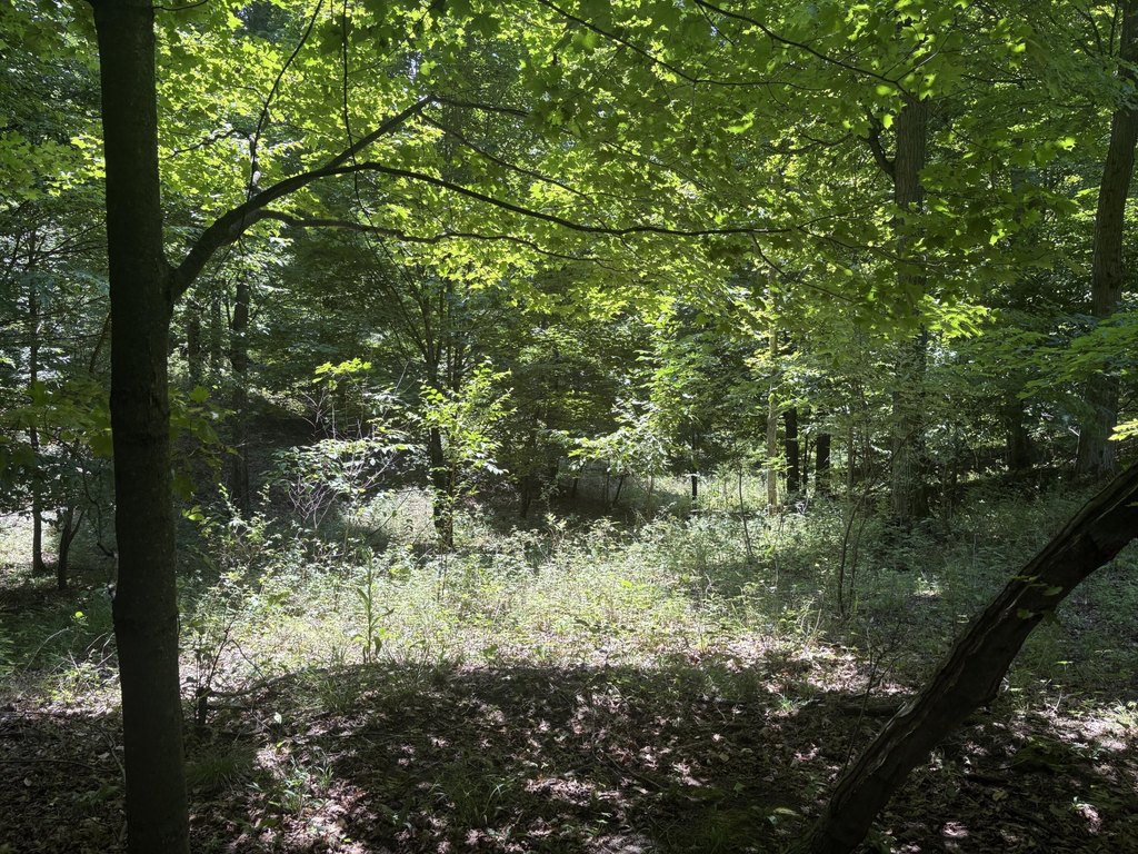 Picture 23