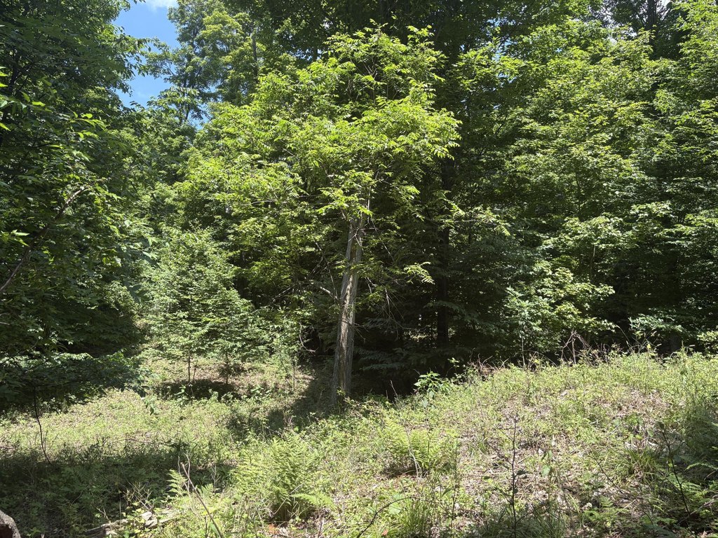 Picture 21