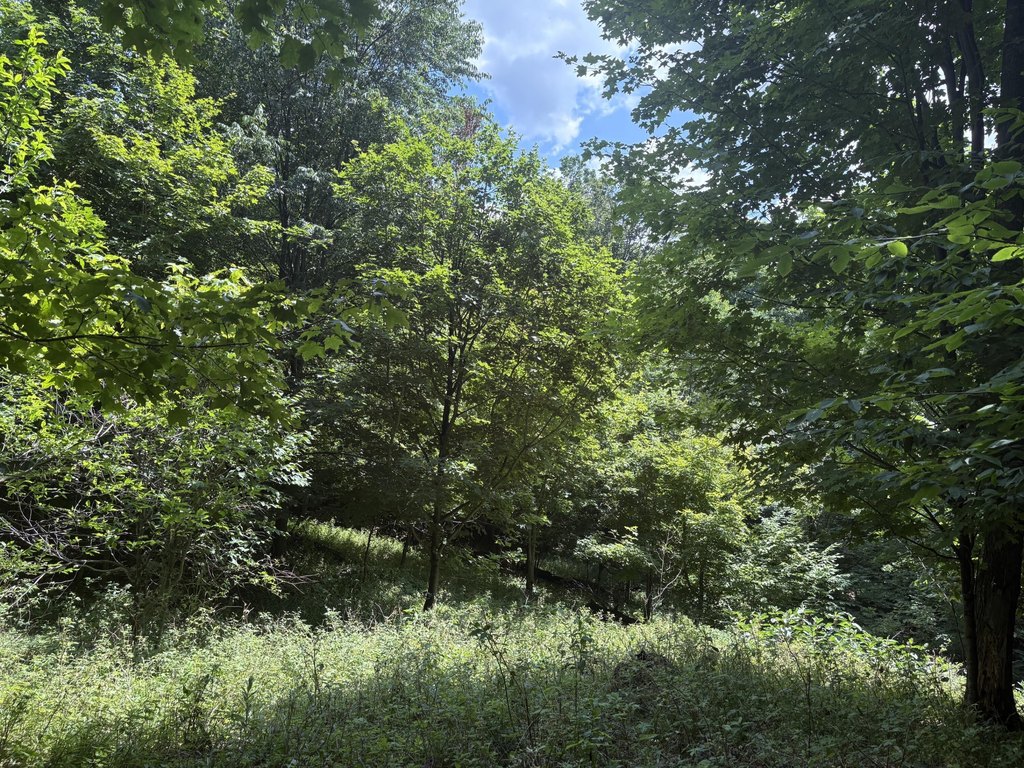 Picture 17