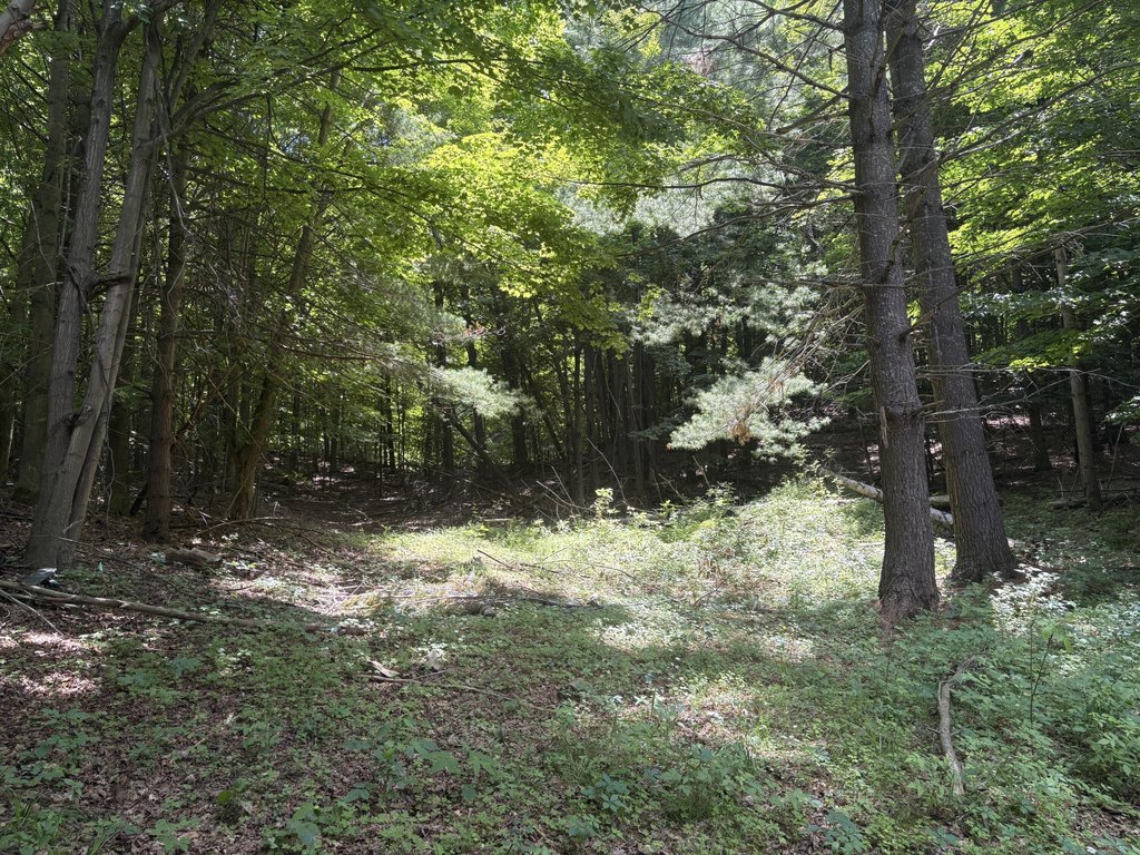 Picture 24