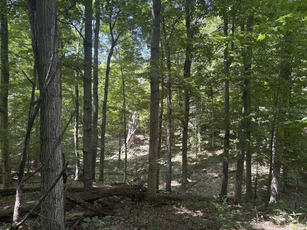 Picture 18