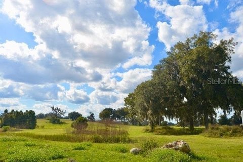 Equestrian Estate Land in Ocala