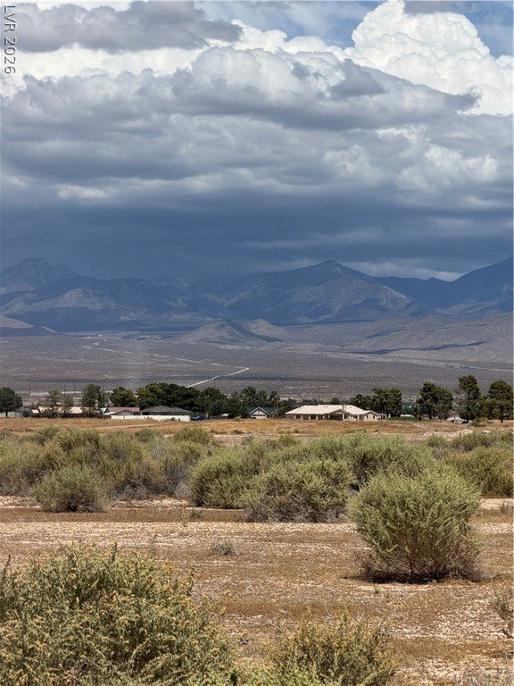 Picture 9