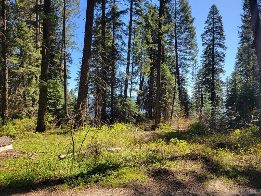 Recreational Land Near Cascade, Idaho
