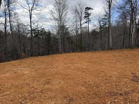 Unrestricted Land Near Lake Cumberland