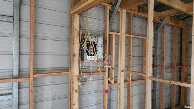 Picture 5