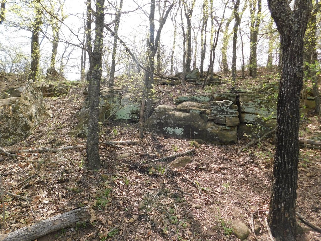 Picture 8