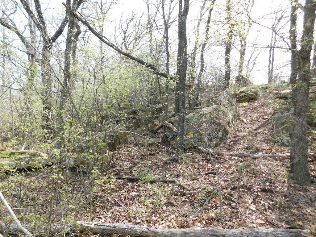 Picture 9