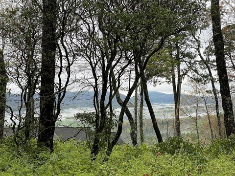 Sapphire, NC Land with Views