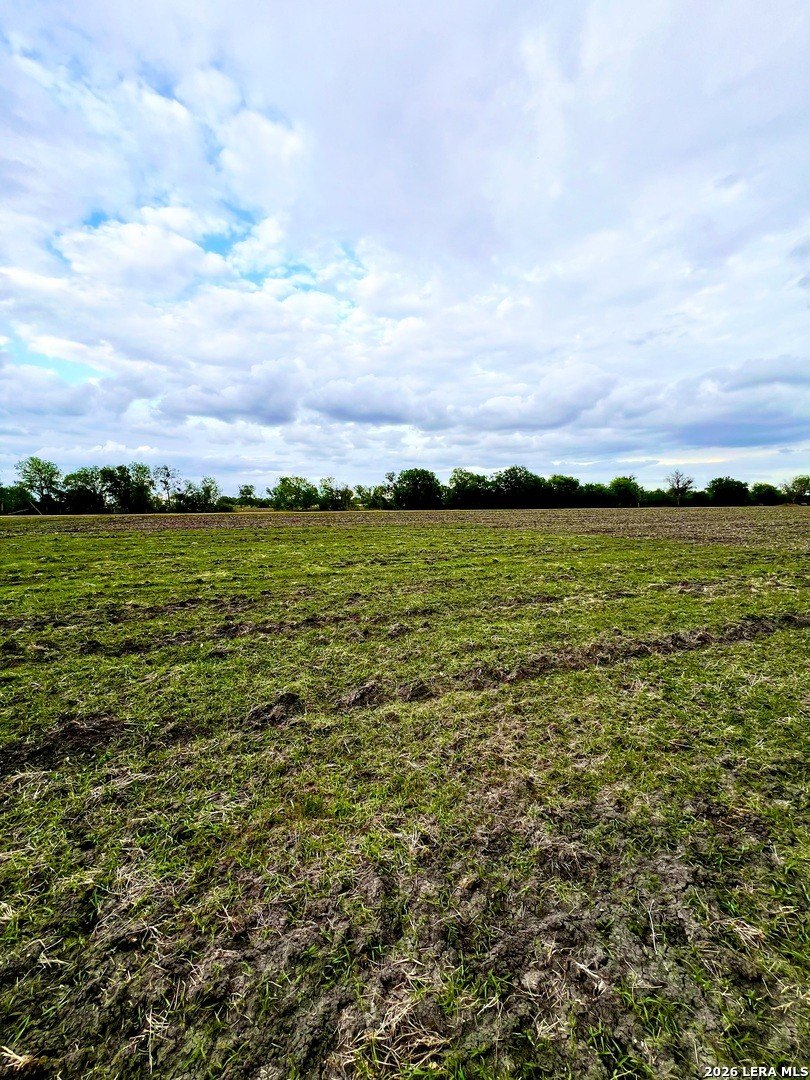 Unrestricted Land in Marion, TX