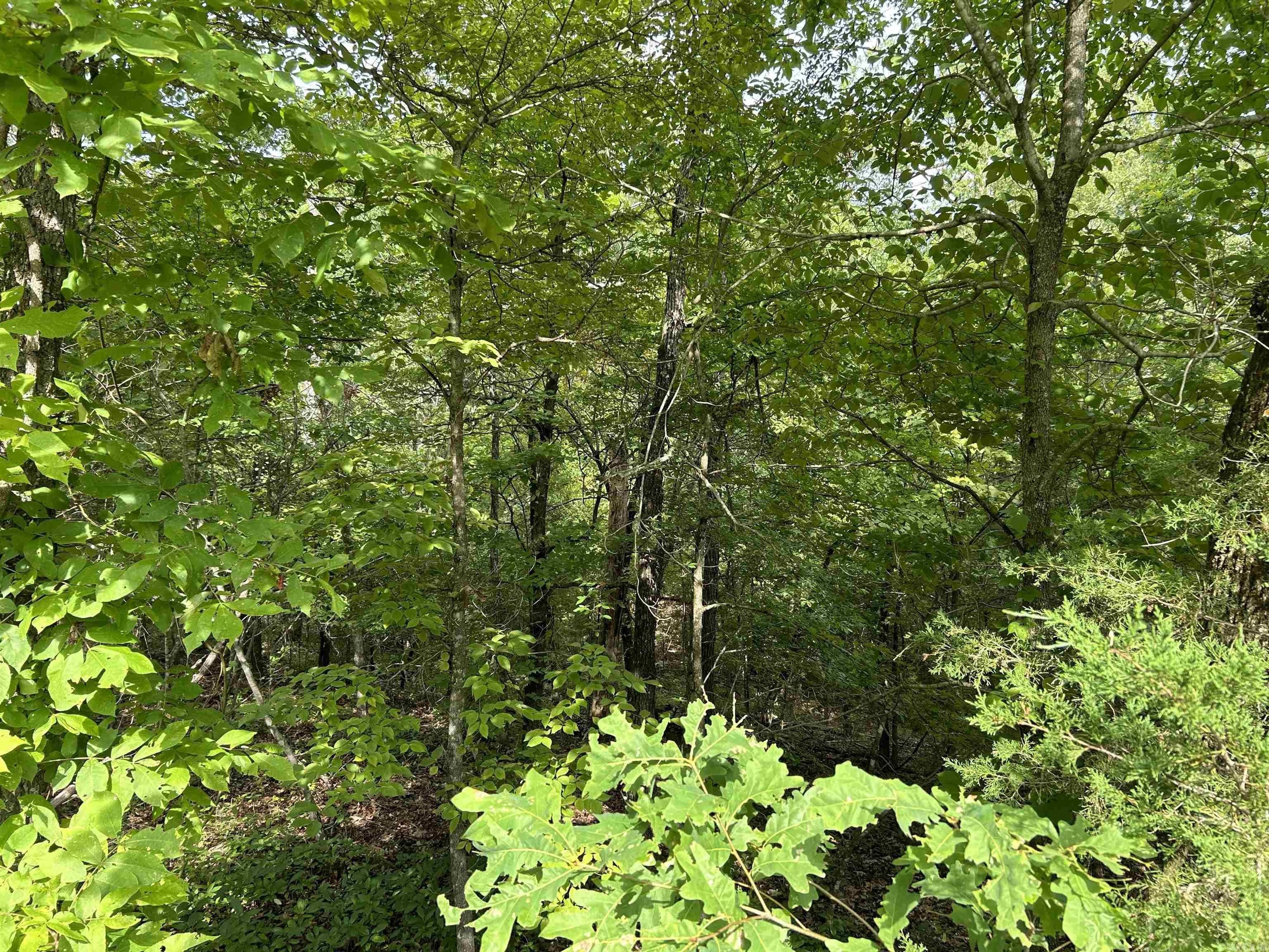 Unrestricted Lot Near Bull Shoals