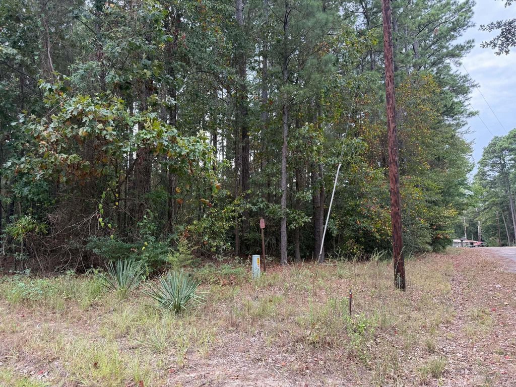 Picture 2