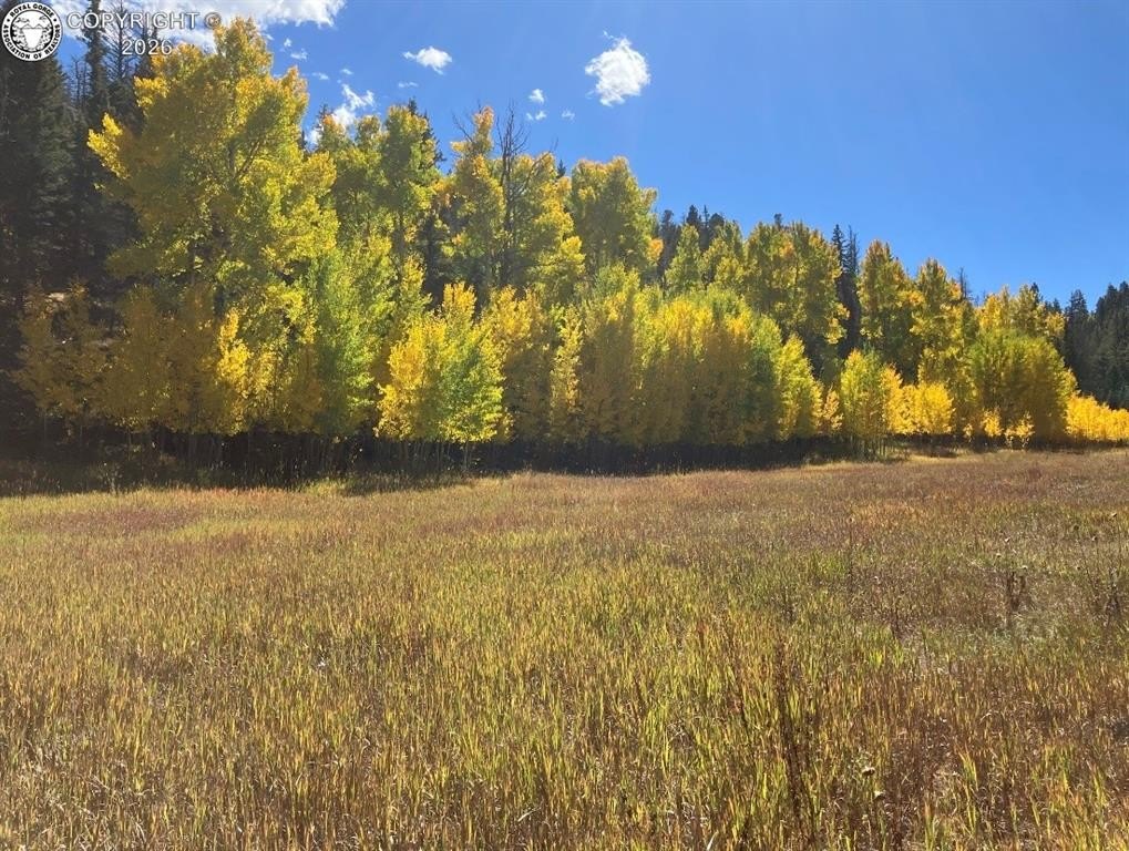 Westcliffe Land with Creek Access