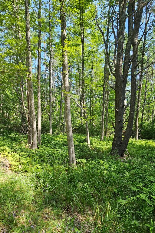 Picture 9