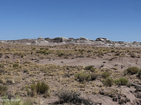 40 Acres in Joseph City