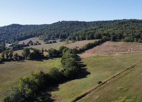 82 Acres Near Monticello, KY