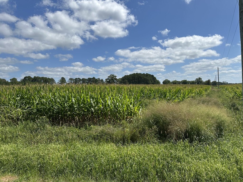 Picture 13