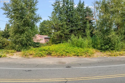 CMU-Zoned Commercial Land with Three Parcels