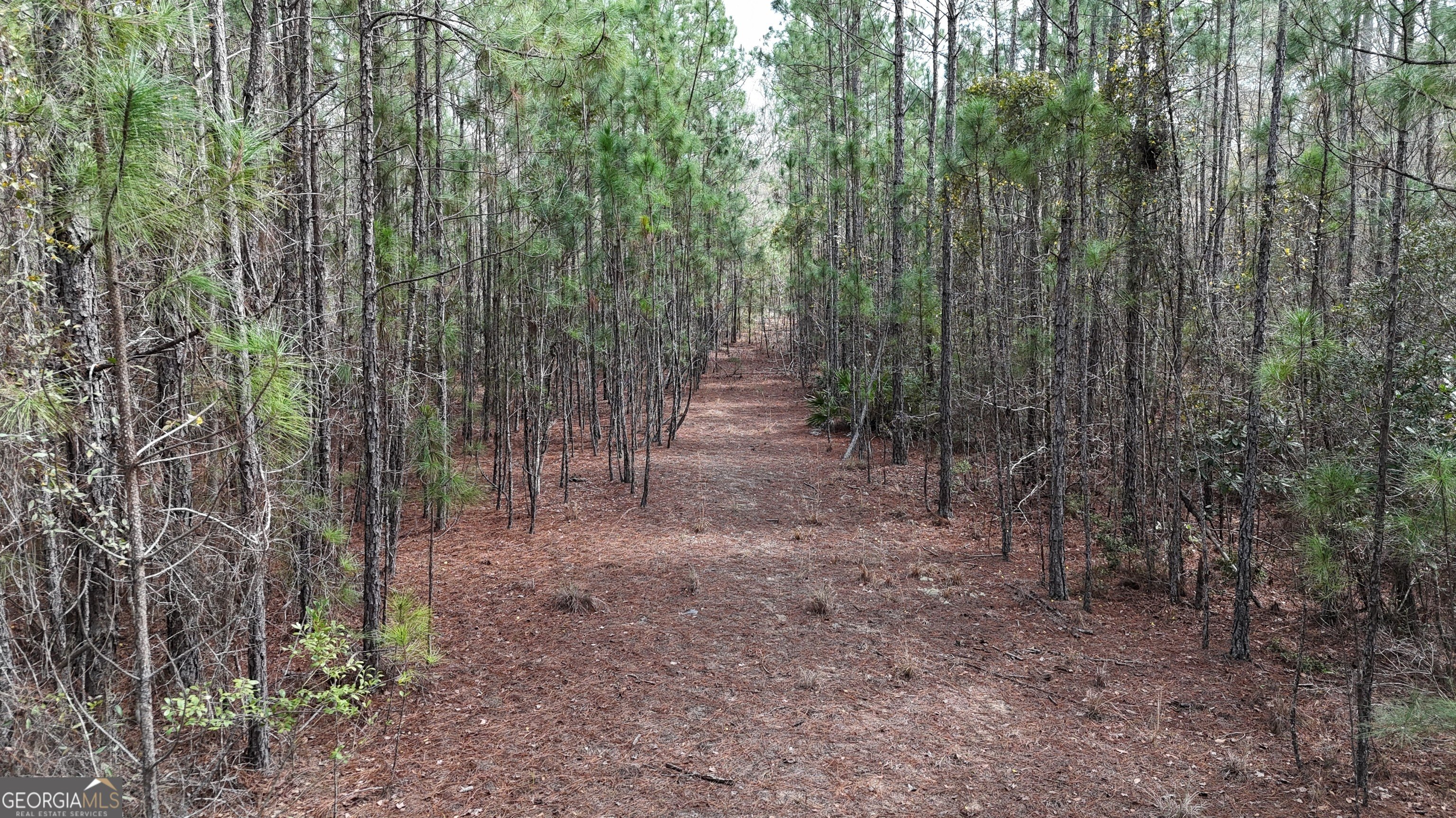 Pembroke, GA Land Tract