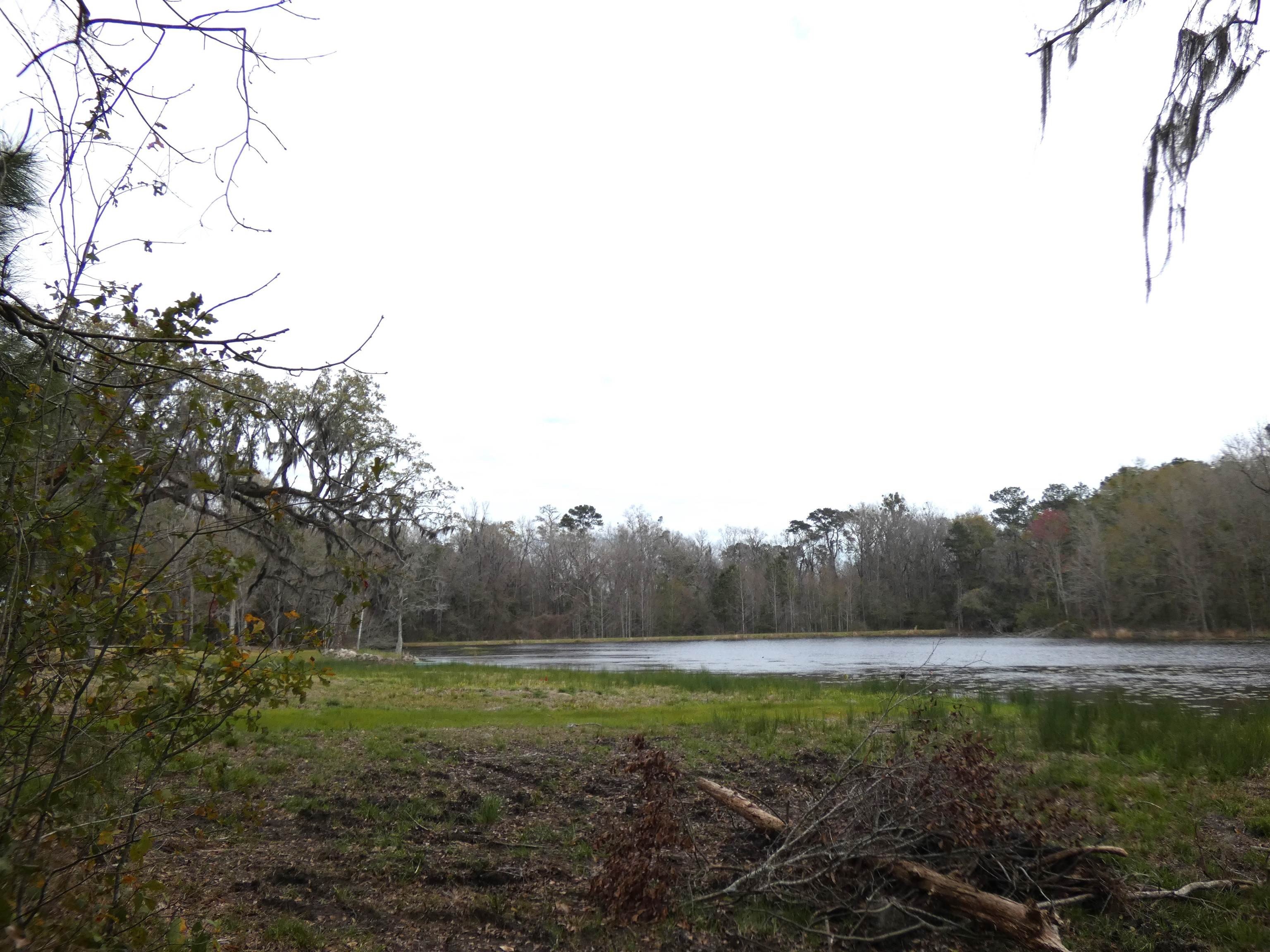 Monticello, FL Lakefront Land