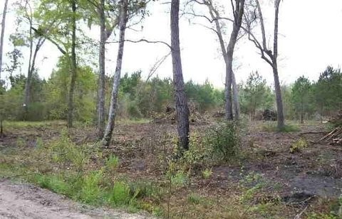 15 Acres Near Monticello, FL