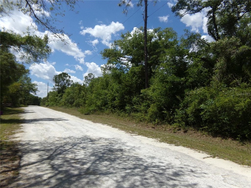 Picture 3