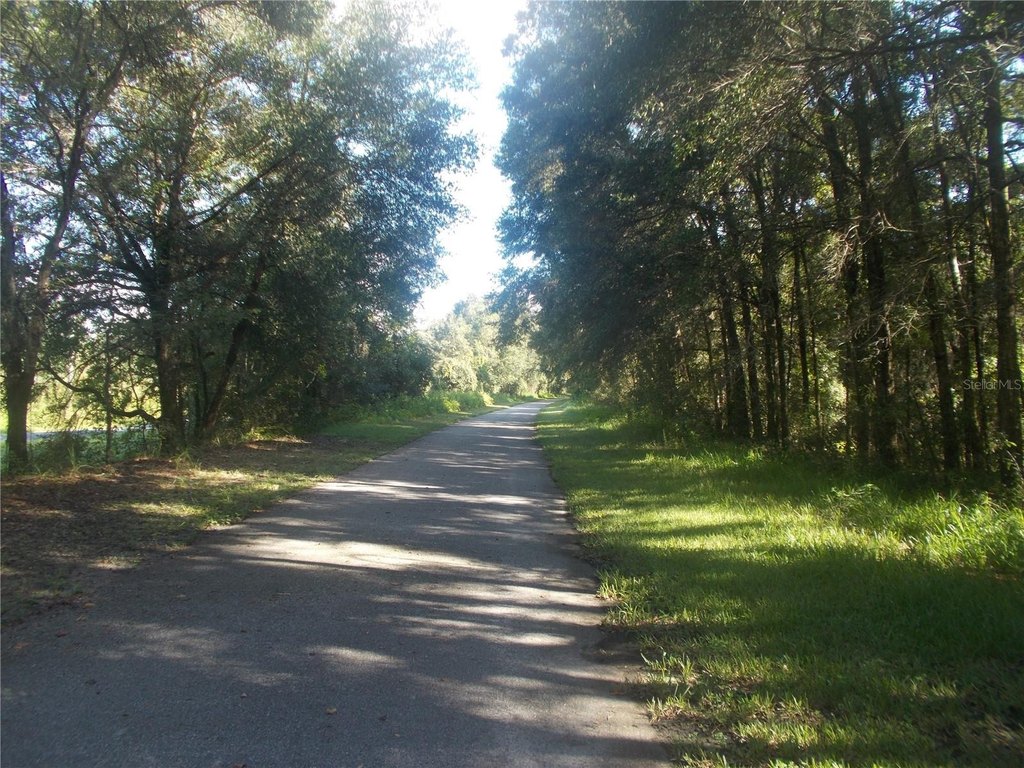 Picture 8