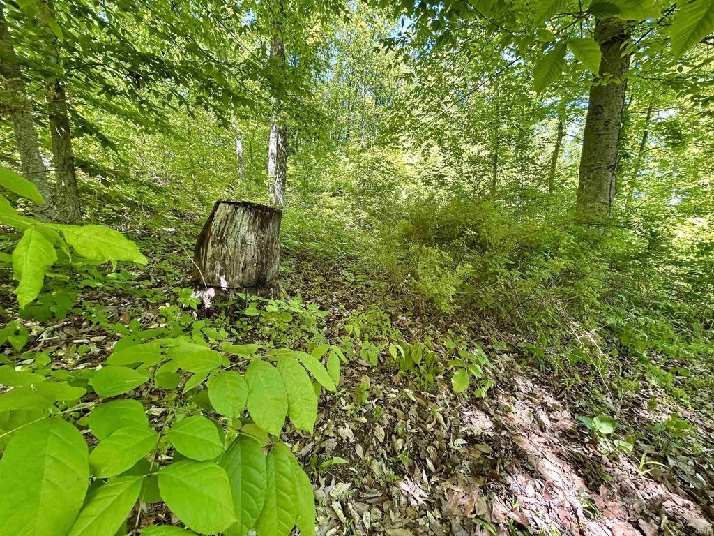 Picture 20