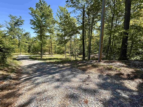 Wooded Hunting and Recreation Land
