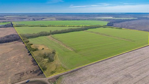 Productive Farmland in Pecan Gap