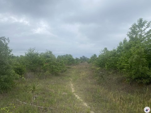 Expansive 70.5 Acre Land Tract