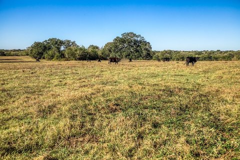 Serene Acreage Near Brenham, TX