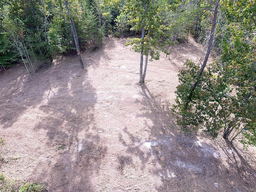 Picture 4