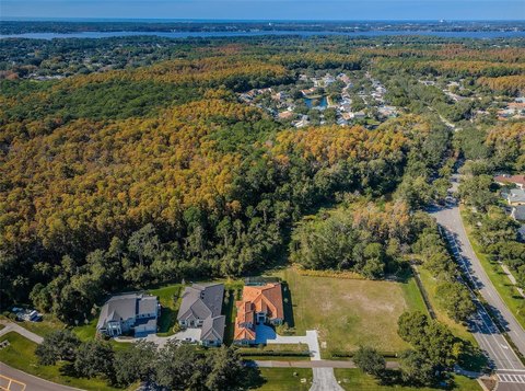 Land, PALM HARBOR, FL