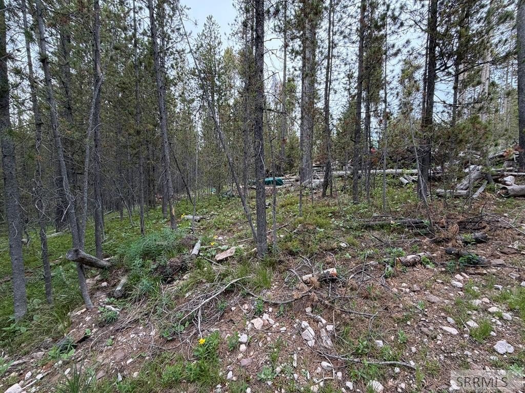 Picture 21
