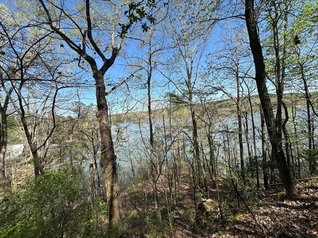 Picture 7