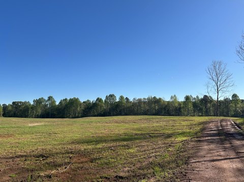 Land Near Camp Hill, AL