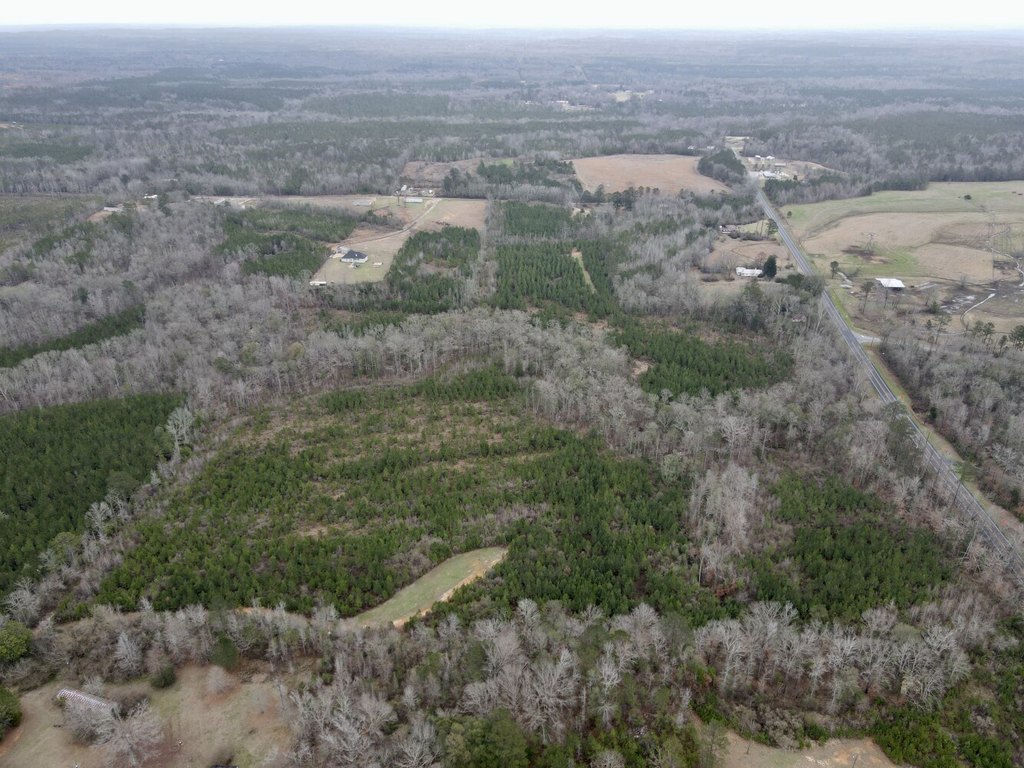 Picture 13
