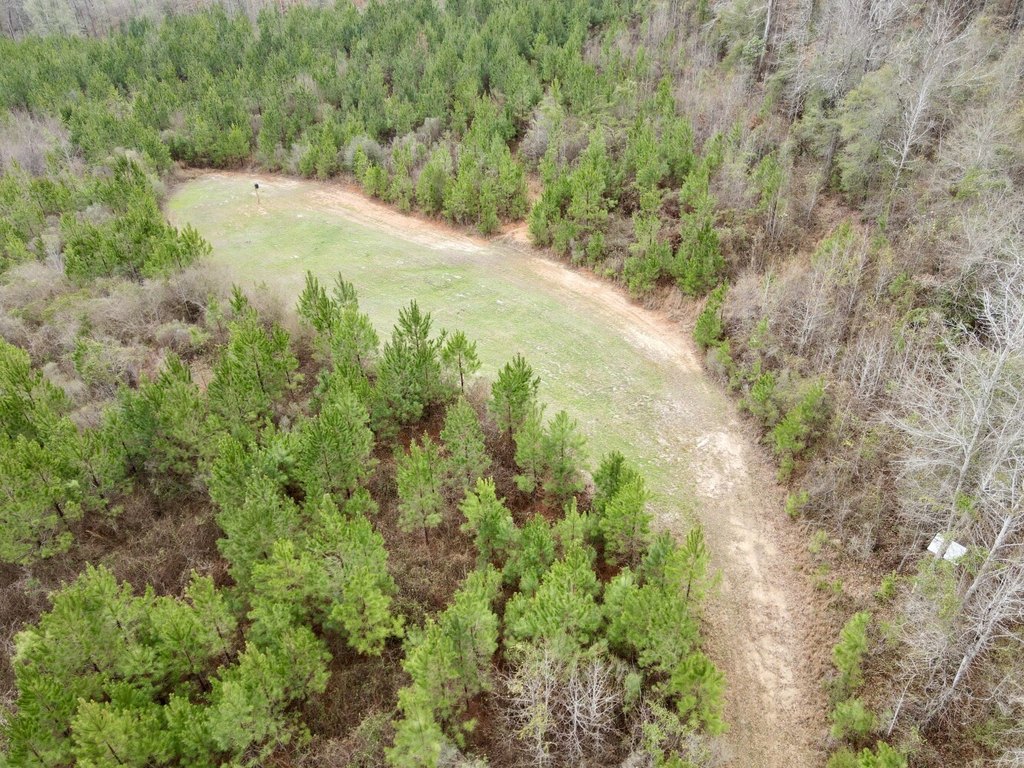Picture 20