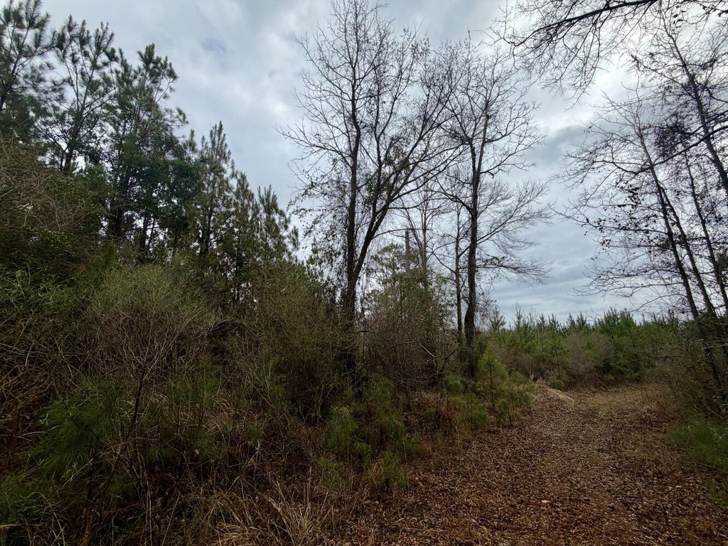 Picture 33
